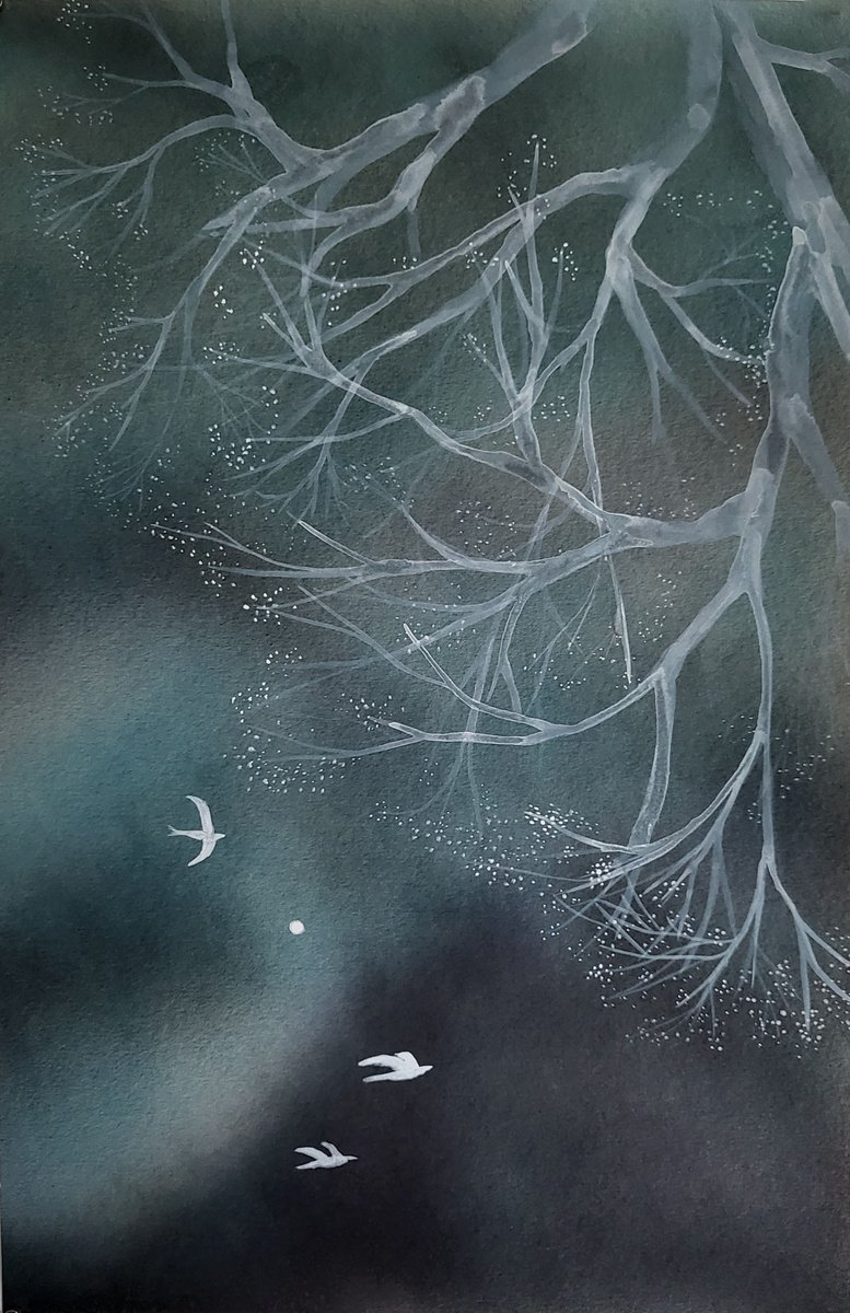 Night fly by Kamila Strzeszewska