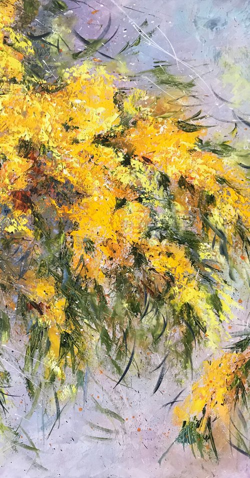 Mimosa by Diana Malivani