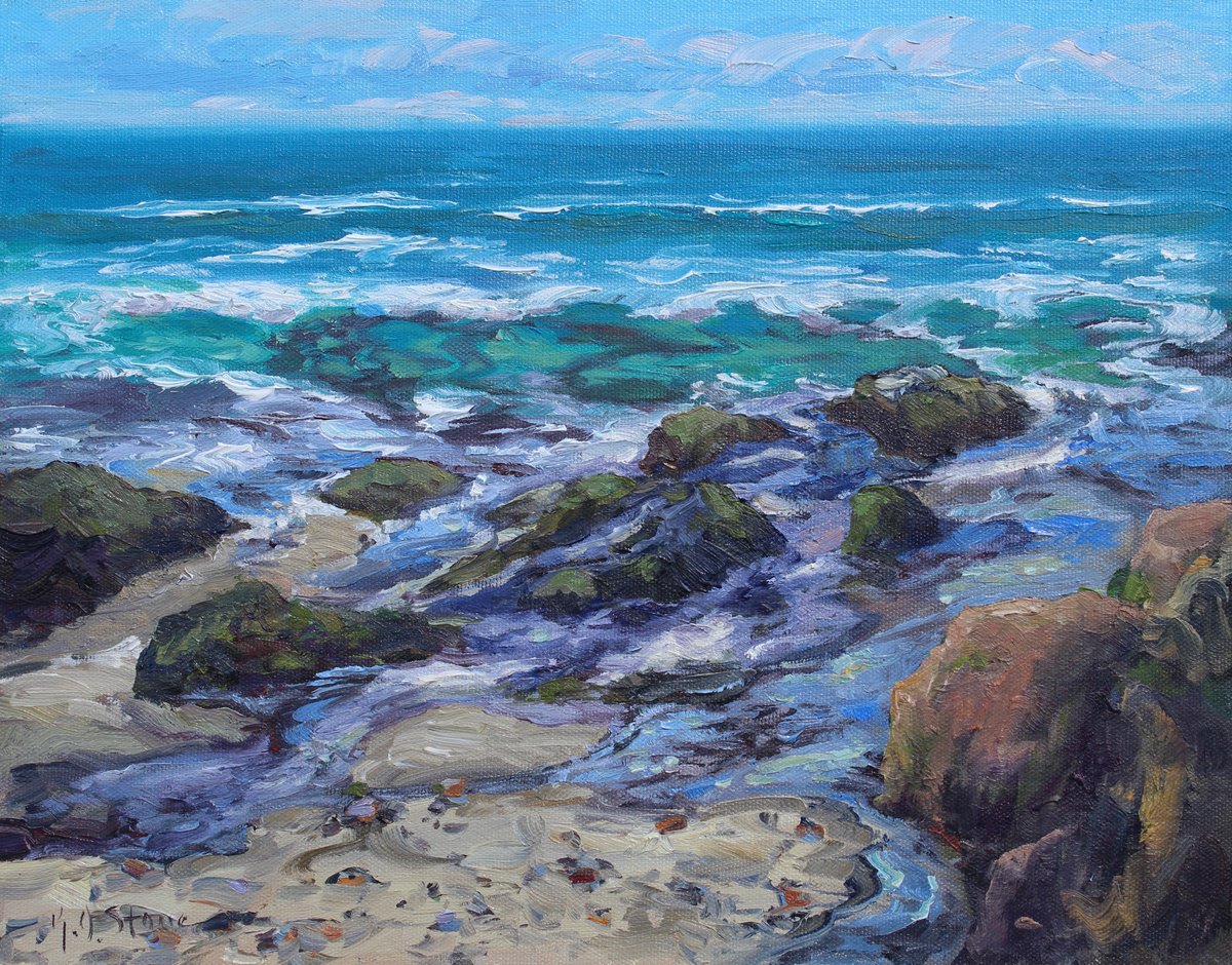 California Tide Pools by Kristen Olson Stone