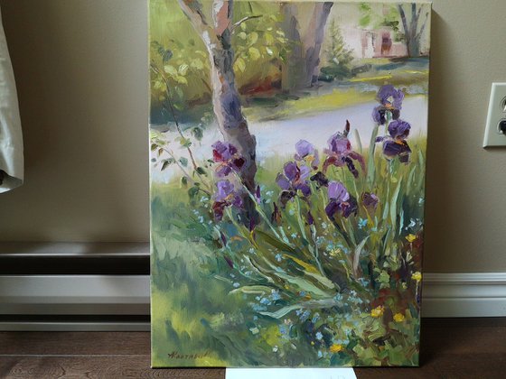 Irises (plein air)