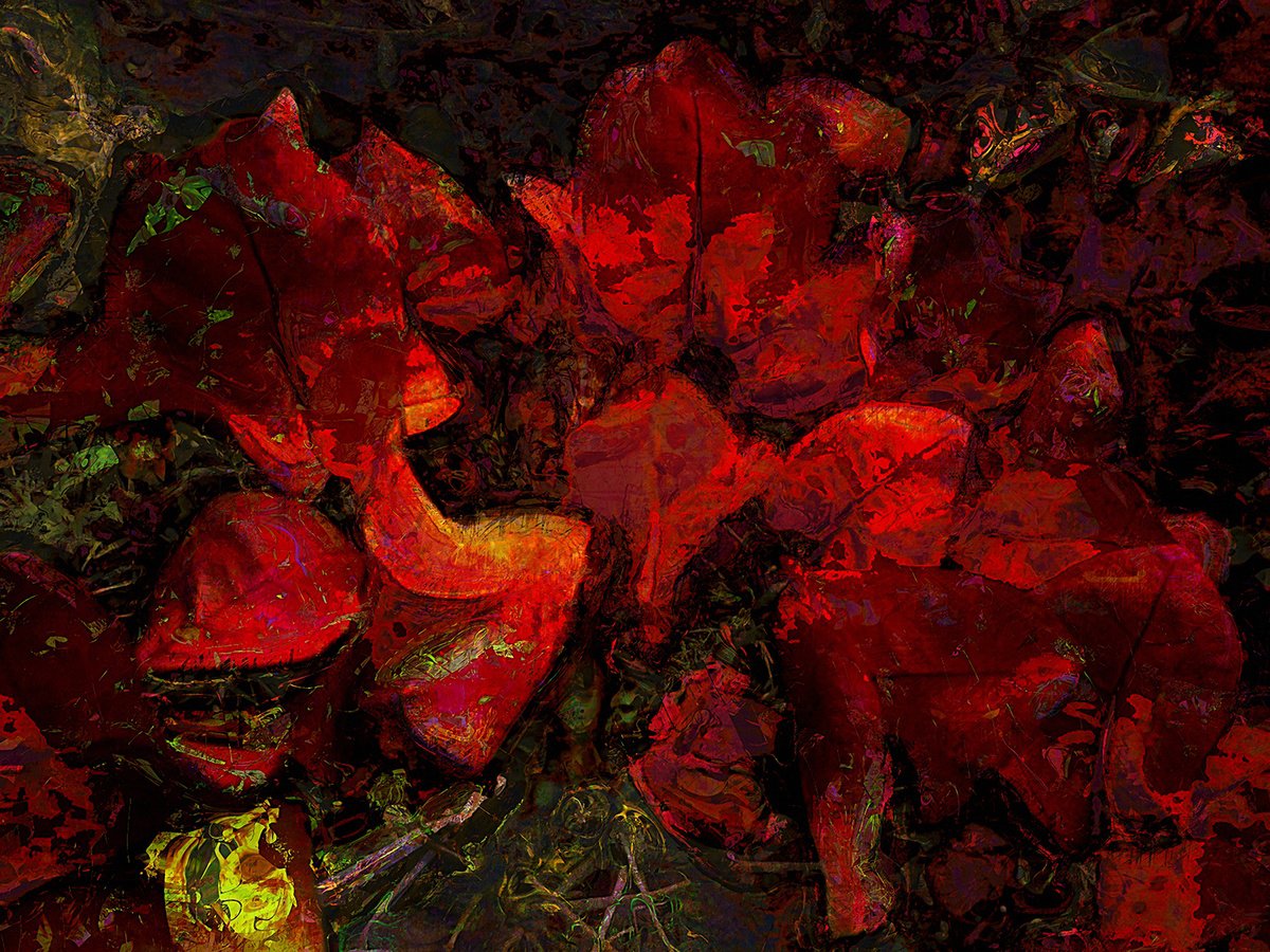 Abstract Botanical Print By Javier Diaz, 80 X 60, Bugambilias/Xl Large Original Artwork, Original Artwork