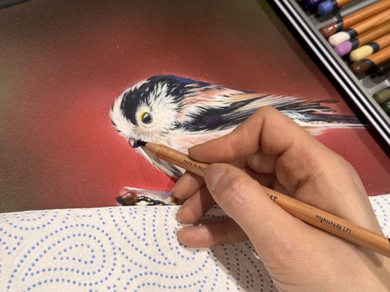 Long tail Tit Mixed Media Painting