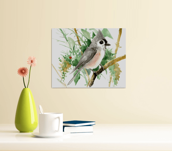 Titmouse Bird