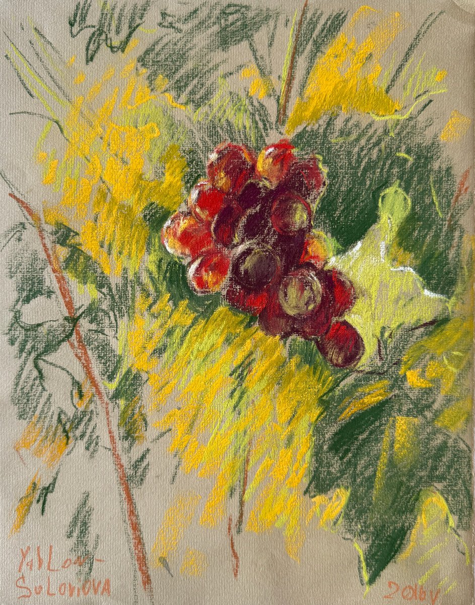 Impressionistic Botanical Pastel Drawing By Daria Yablon-Soloviova, 9 X 12, Grapes In Sunlight Plein-Air, Original Artwork
