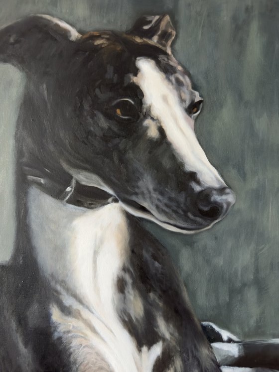The Whippet
