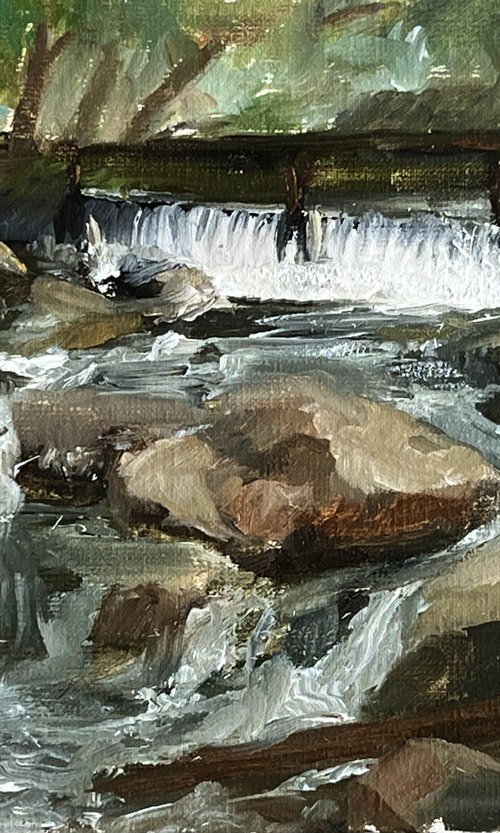 Whispering Stream by Daniela Roughsedge