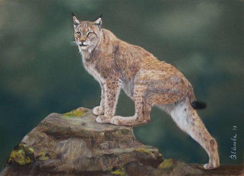 Lynx portrait by Vera Evseeva