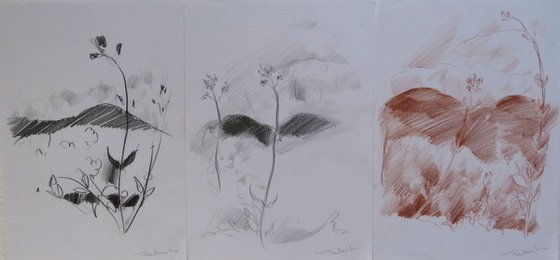 Three Mountain sketches, 21x29 cm - affordable & AF exclusive !