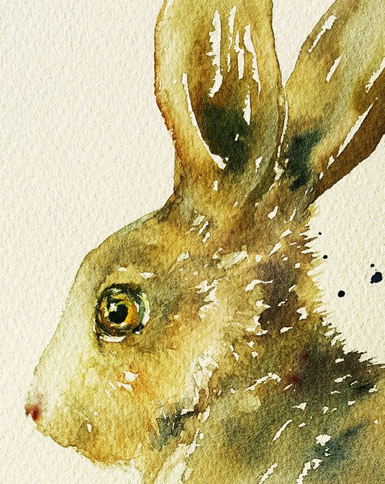 Green Gold Hare