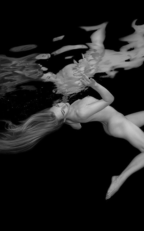 The Touch - underwater black & white photograph - print on aluminum 24" x 36" by Alex Sher