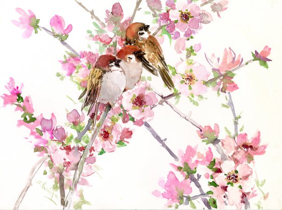 Sparrows in the spring