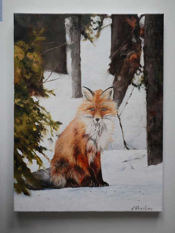 Red Fox Portrait Original Painting on Canvas - Winter Woodland Animal Wall Art