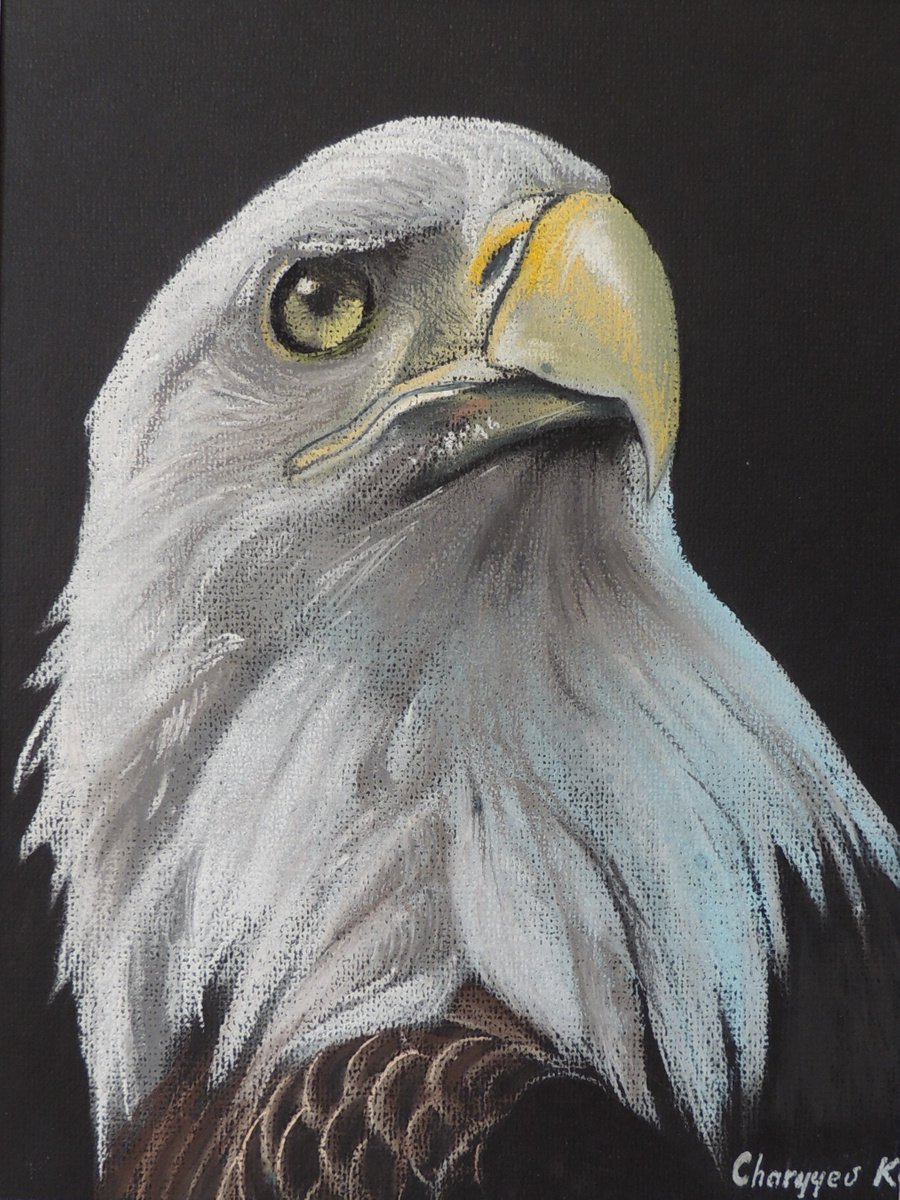 Eagle by Kakajan Charyyev