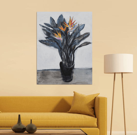 Strelitzia (bird of paradise)