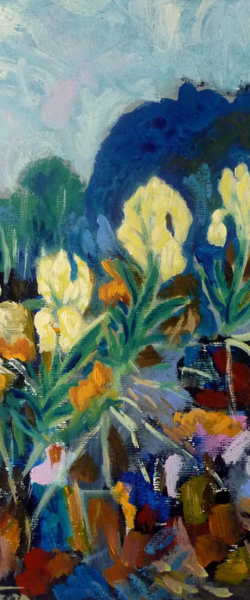Les iris sauvages/La Provence by Pierre-Yves Beltran