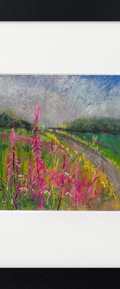 Three Rosebay Willowherb framed by Teresa Tanner