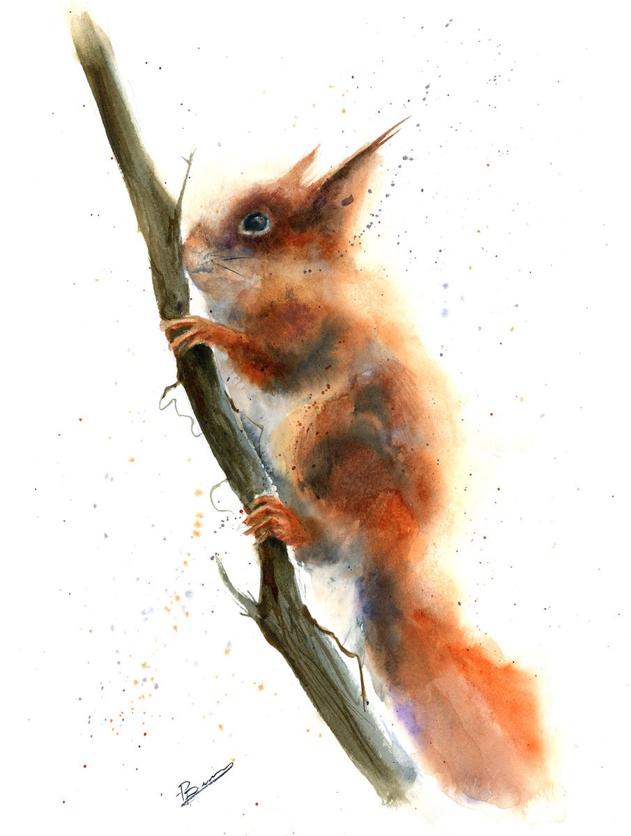 Impressionistic Animal Watercolour By Olga Tchefranov (Shefranov), 11 X 15", Squirrel On The Tree, Original Artwork