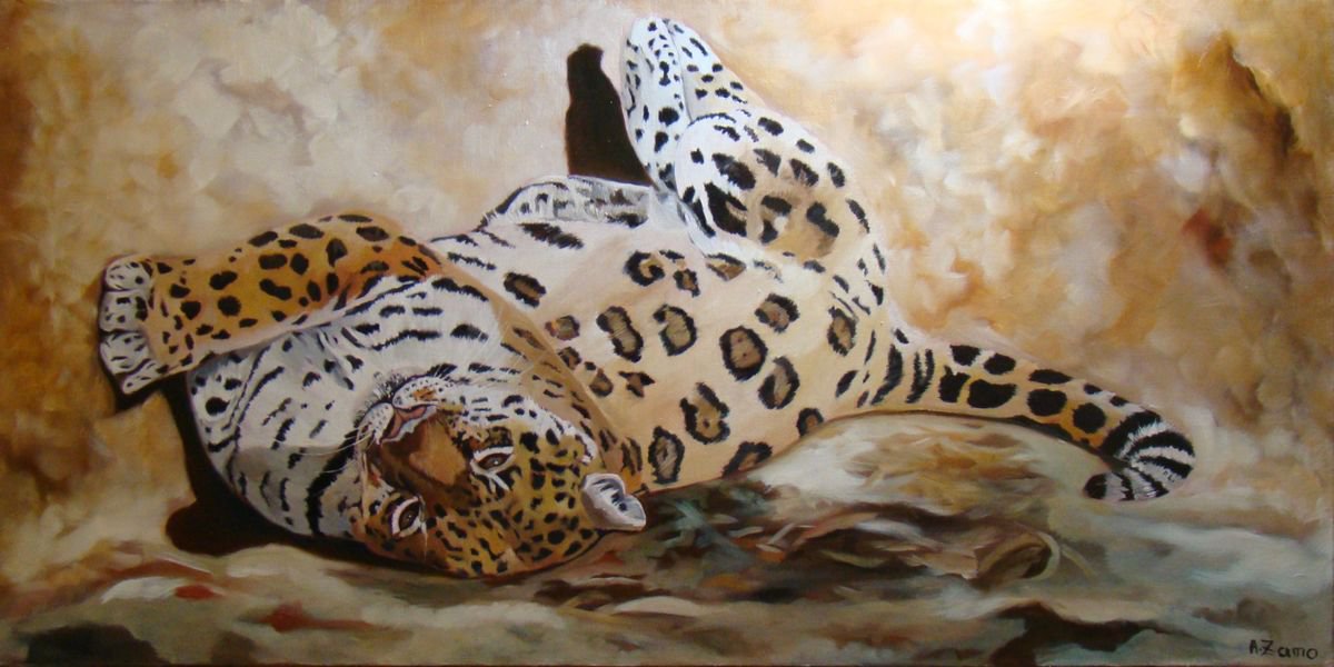 Half sleep, portrait of a jaguar by Anne Zamo by Anne Zamo