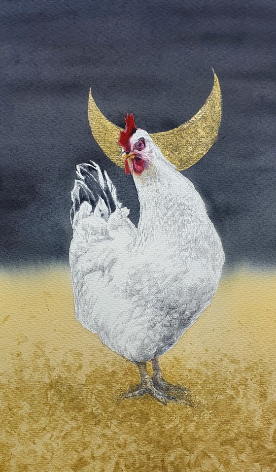 White chicken at golden field