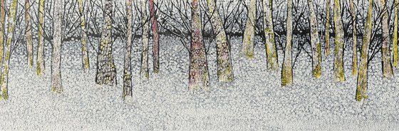 Birch forest