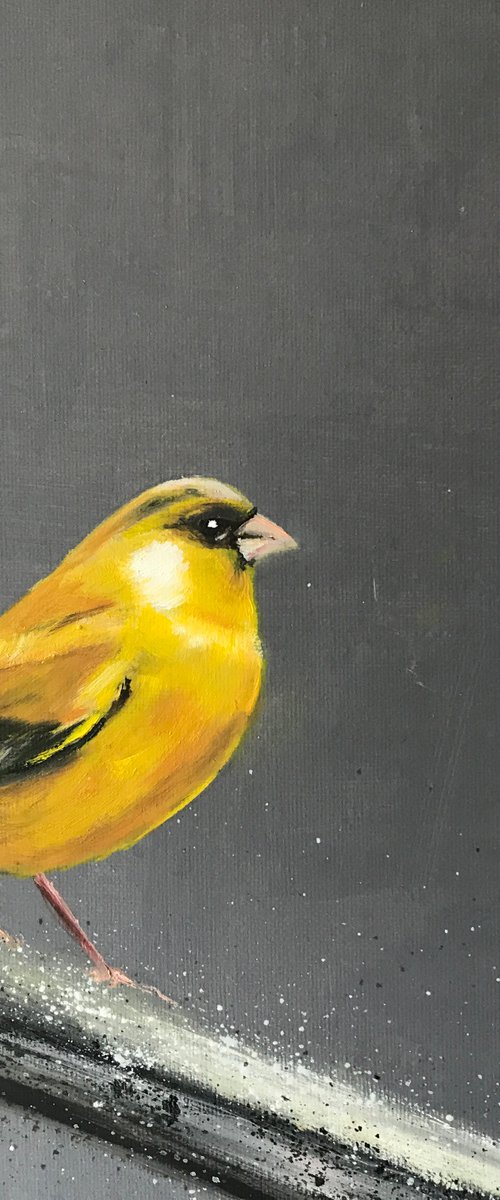 Greenfinch on Silver Branch by Laure Bury