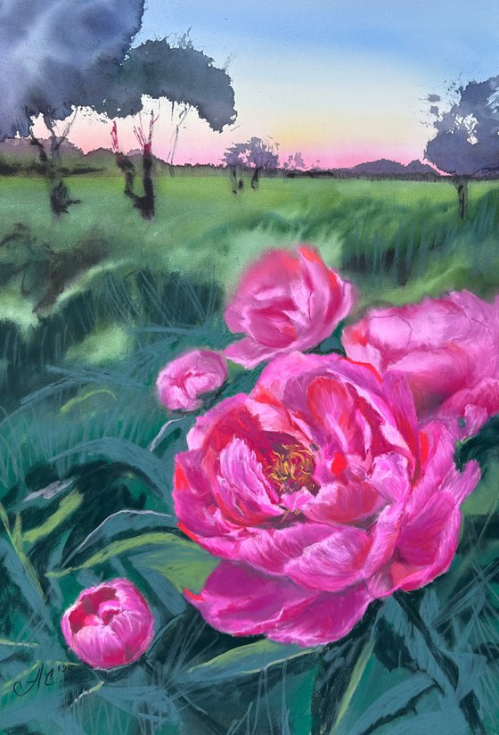 Peonies at Sunset