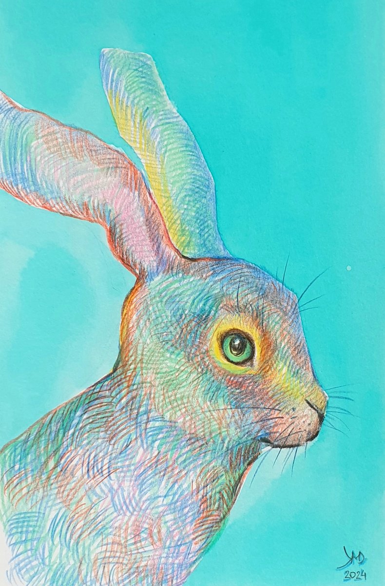 Naive Animal Pencil Drawing By Ksenia June, 6 X 8", Hare Portrait..easter Bunny?, Original Artwork