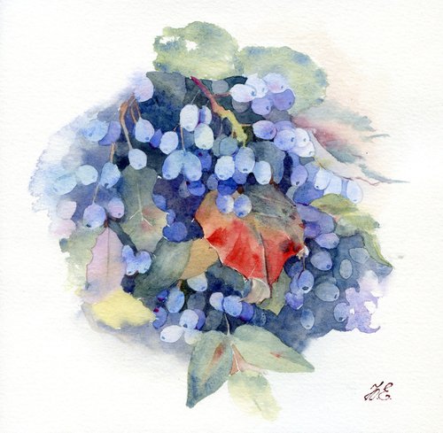 Berries in watercolor, art for kitchen of blue Magonia bush by Yulia Evsyukova