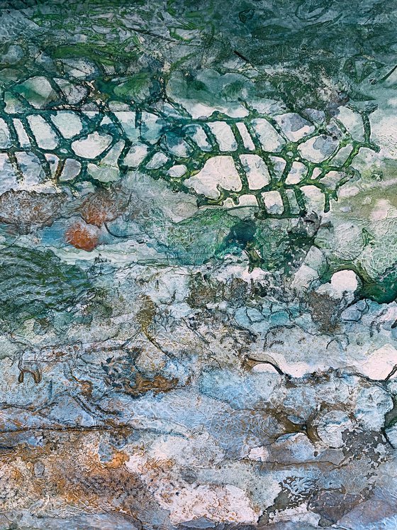 Beneath the Sea Shallows