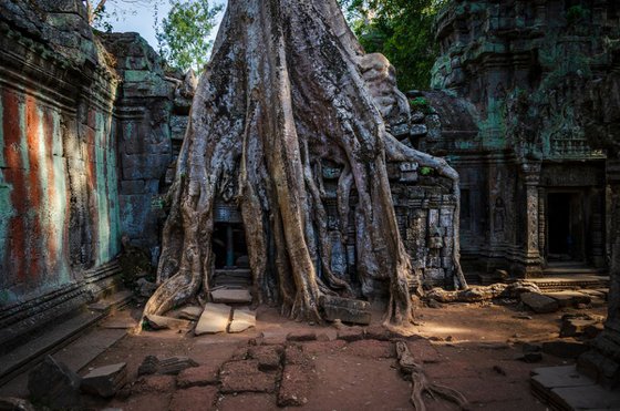 Angkor Series No.1 - Signed Limited Edition