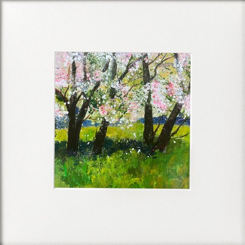 Seasons - Spring Blossom on the Tall trees by Teresa Tanner