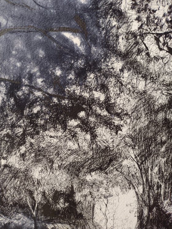 The sheltering trees 1