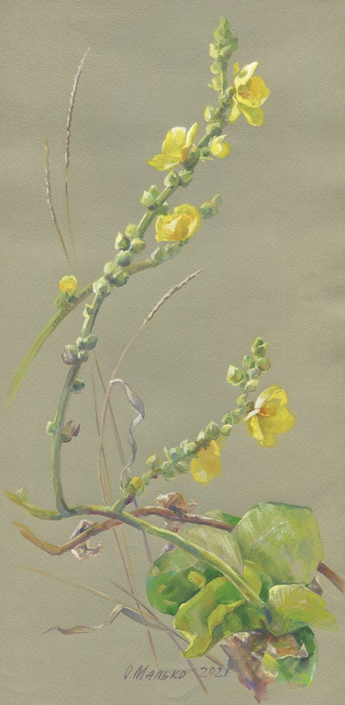 The summer last flowers on olive green paper / ORIGINAL watercolor painting ~8x16,5in (21x42cm) by Olha Malko