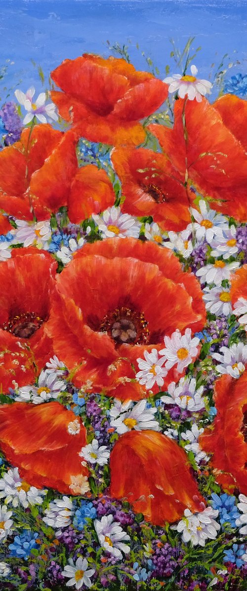 Poppies with daisies. by Anastasia Woron