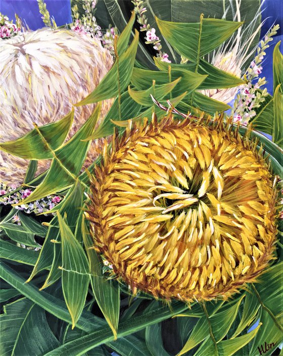 Come A Little Bit Closer - Banksia baxteri