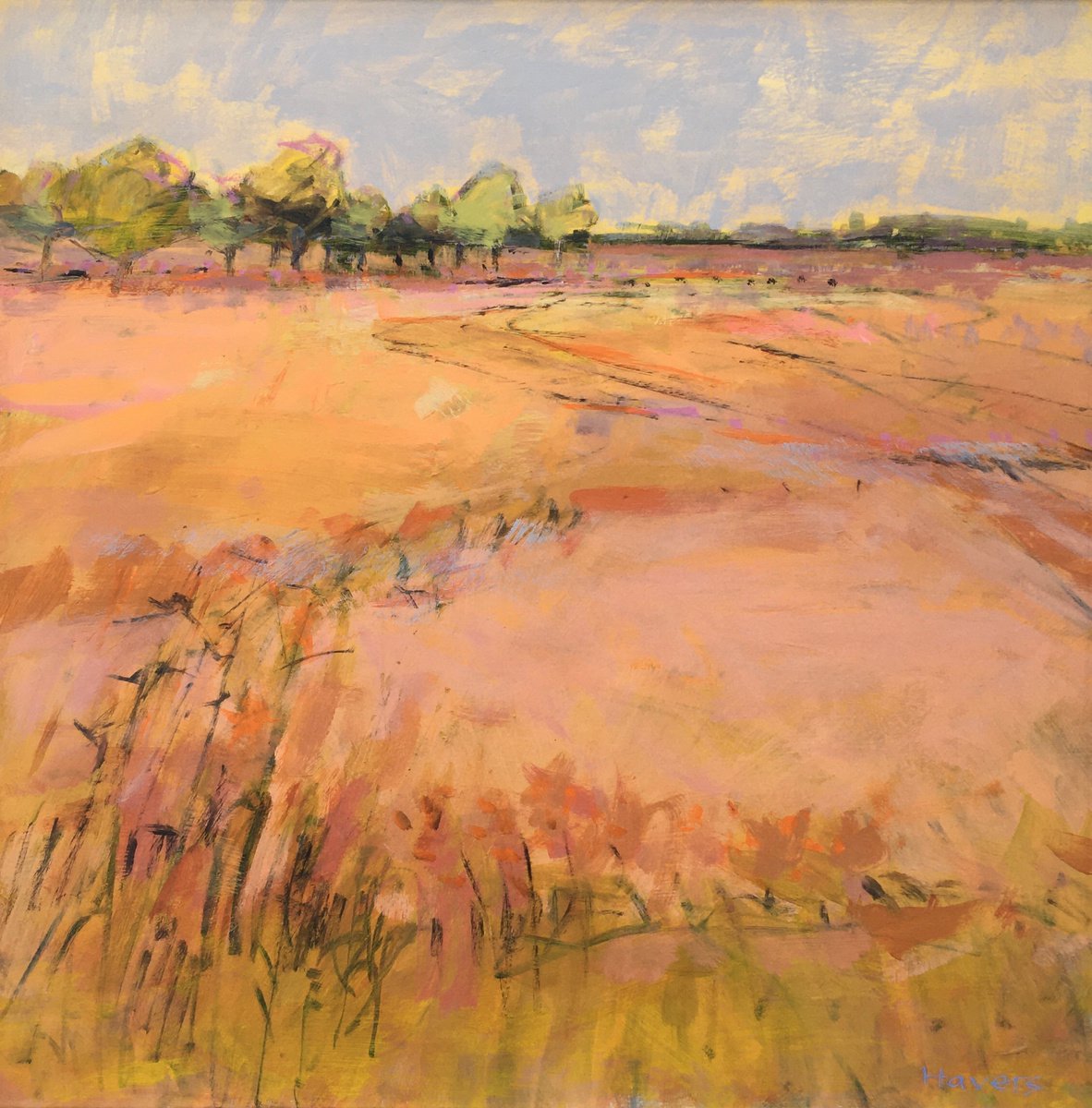 Harvest Field by Chrissie Havers