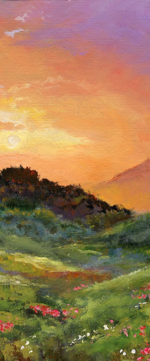 Hills with flowers at sunset by Lucia Verdejo