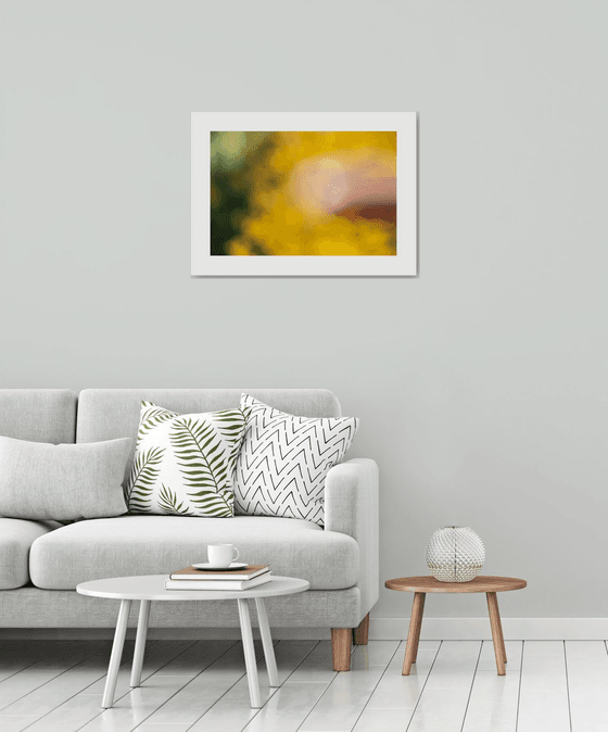 abstract - Beautiful Colors #6