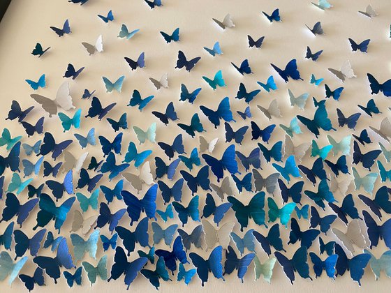 Butterflies - a study in blue