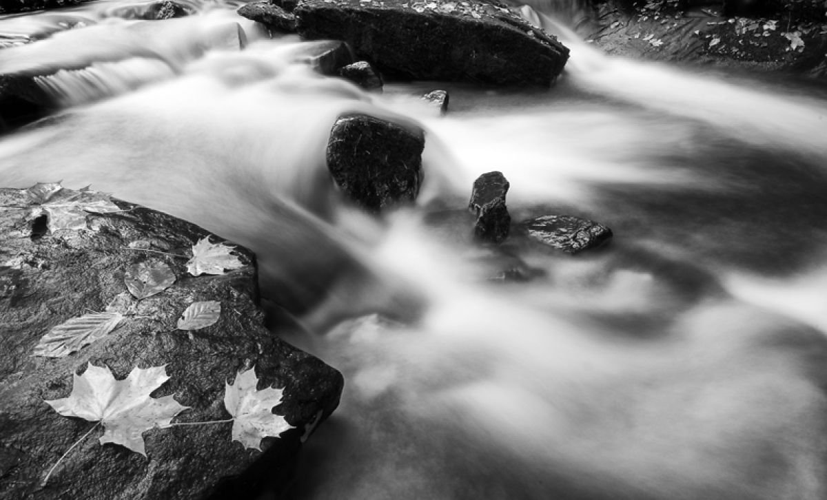 Burbage Brook  - Padley Gorge Peak District National Park . by Stephen Hodgetts Photography