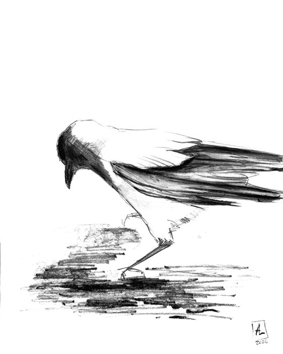 One Crow Adventures I