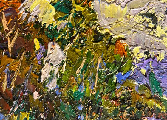 Corn fields in the village