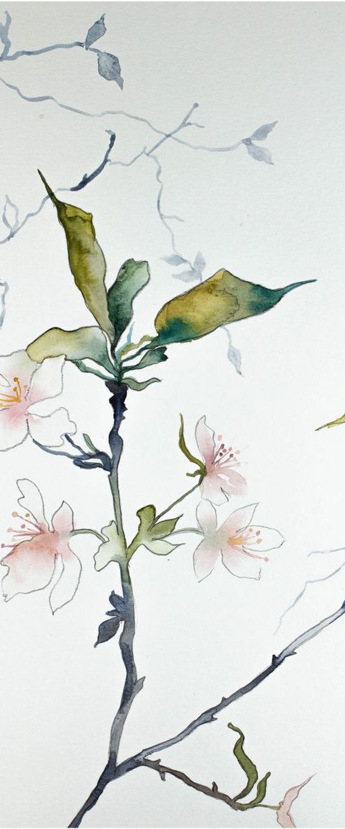 Cherry Blossom No. 8 by Elizabeth Becker