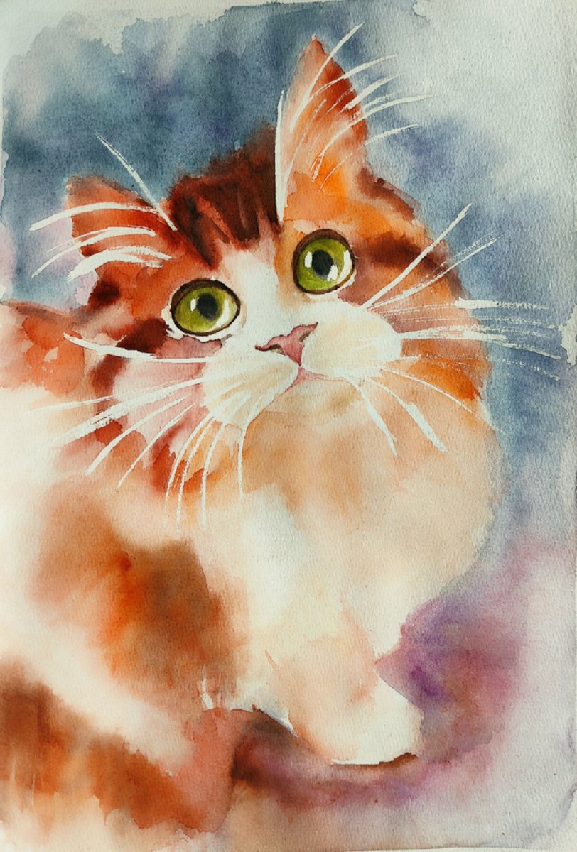 Fluffy cat watercolor by Yulia Berseneva