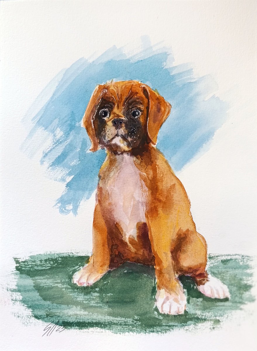 Impressionistic Animal Watercolour By Salana Art / Svetlana Samovarova, 8 X 11", Dog Iii, Original Artwork