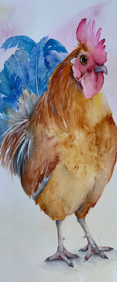 Funky Chicken by Seonaid Parnell
