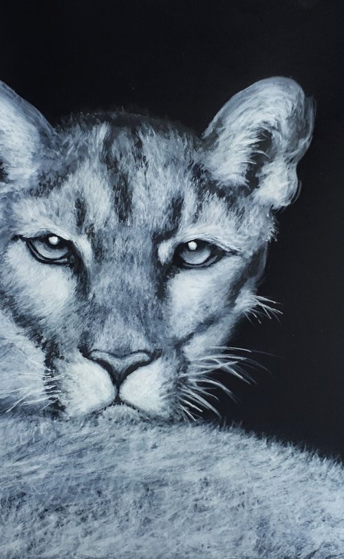 Puma... / FROM THE ANIMAL PORTRAITS SERIES / ORIGINAL PAINTING by Salana Art