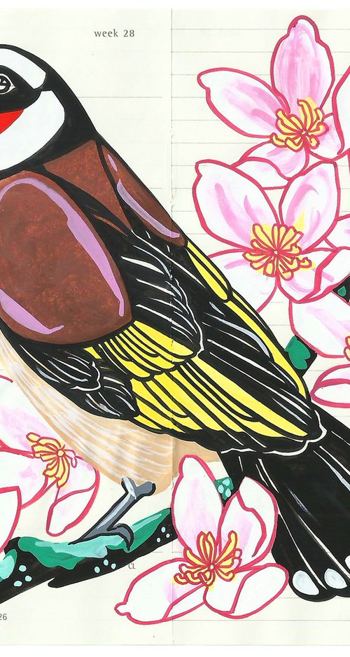 Birds of Europe: Goldfinch by Fran Giffard