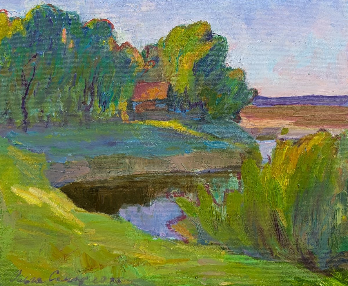 Evening Sunrays By Olga Samar, 12 X 10, Artwork For Sale On Artfinder