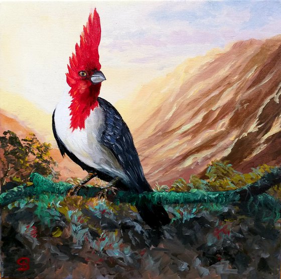 Red crested cardinal